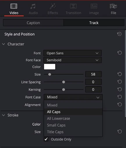 Subtitle Inspector: track style and position