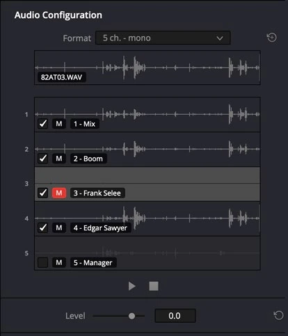 Audio configuration and individual source-channel waveforms