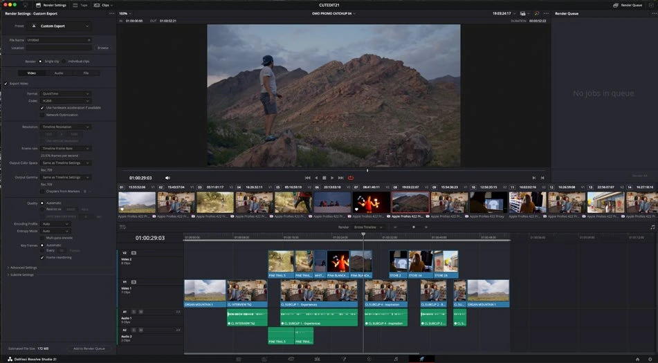 Actual DaVinci Resolve Deliver interface reference
