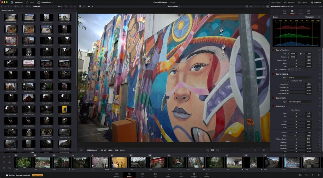 Actual DaVinci Resolve Photo interface reference